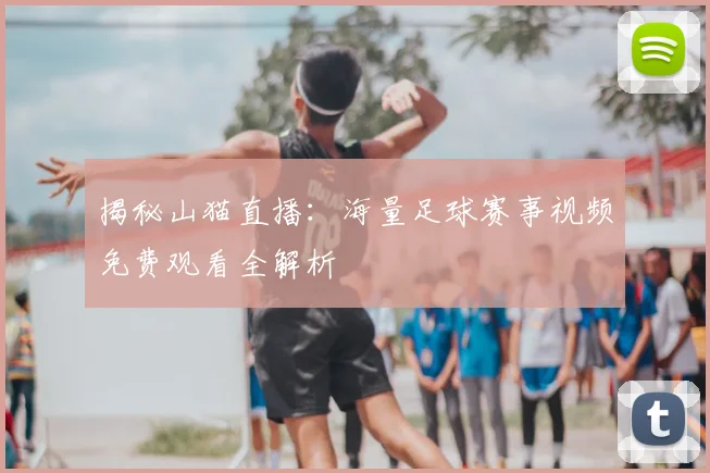揭秘山猫直播：海量足球赛事视频免费观看全解析